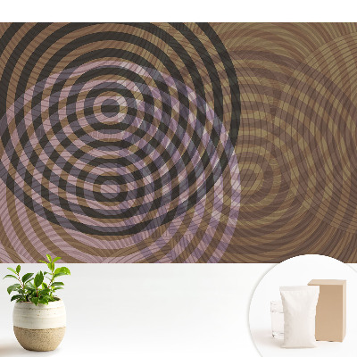 Tapeta do obývačky Sústredné kruhy retro moderný