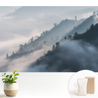 Tapeta so zamračenou krajinou hôr a stromov