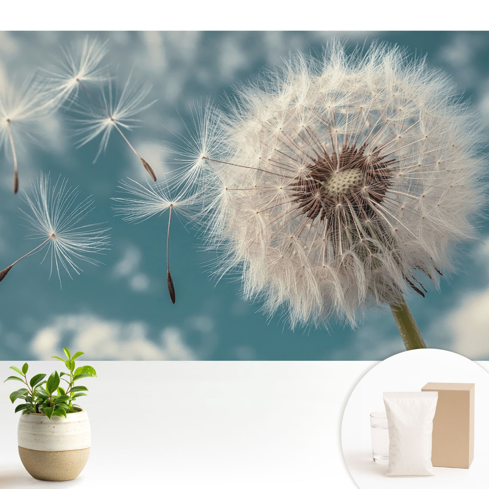 Tapeta na stenu Púpava vo vetre