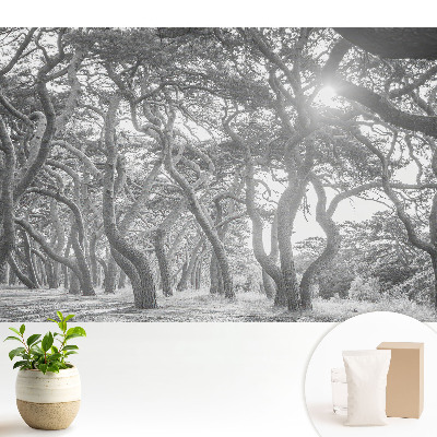 Luxusná tapeta s motívom tajomného klasického lesa