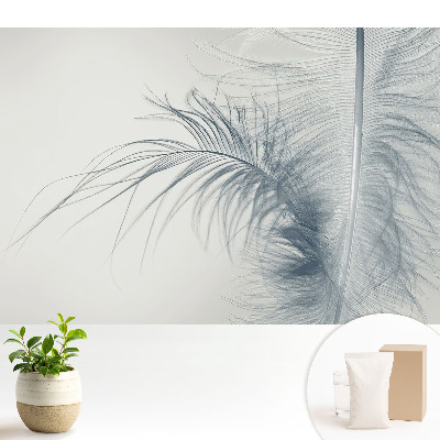 Luxusná tapeta Jemný motív pierok, ľahkosť a harmónia