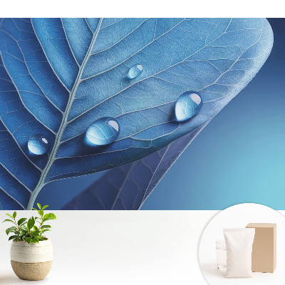 Tapeta do obývačky s motívom abstraktného listu a kvapkami vody