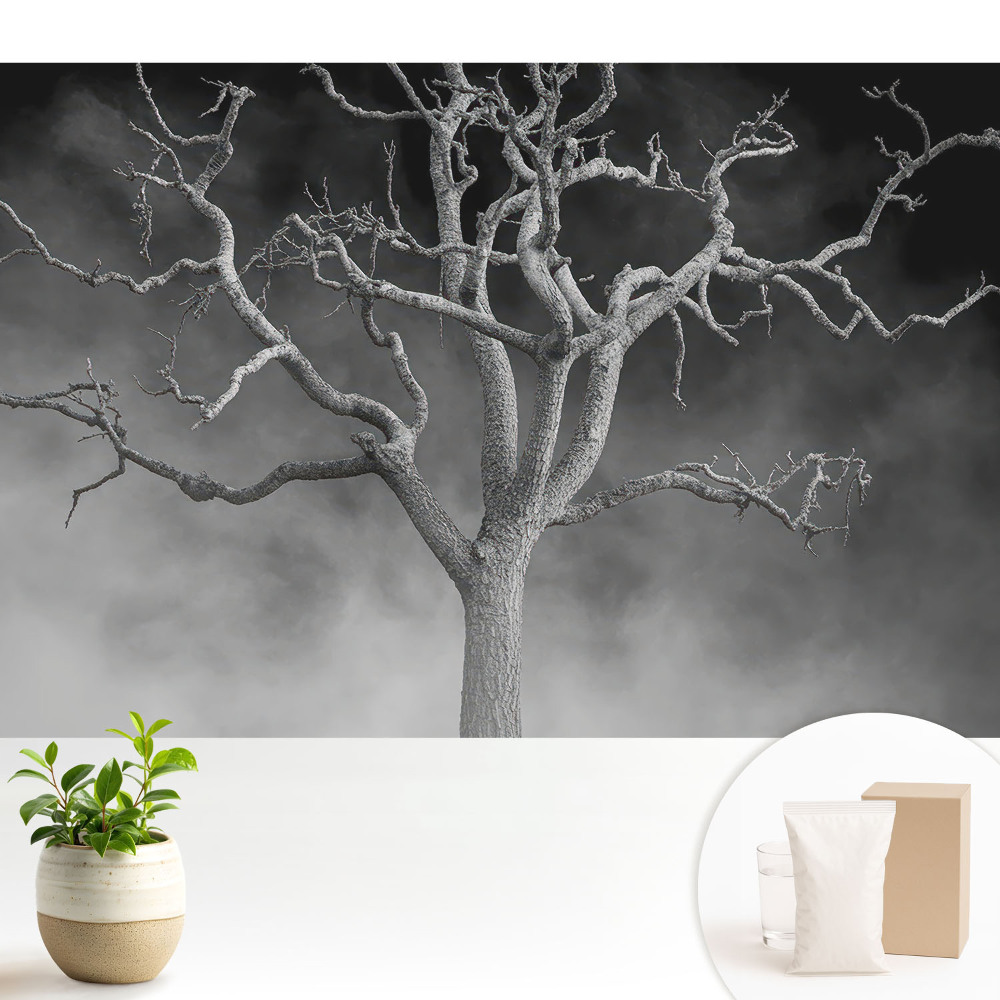 Tapeta Osamelý strom v hmle