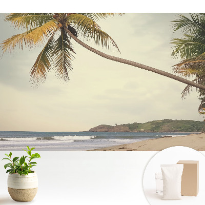 Luxusná tapeta Palma a exotická pláž