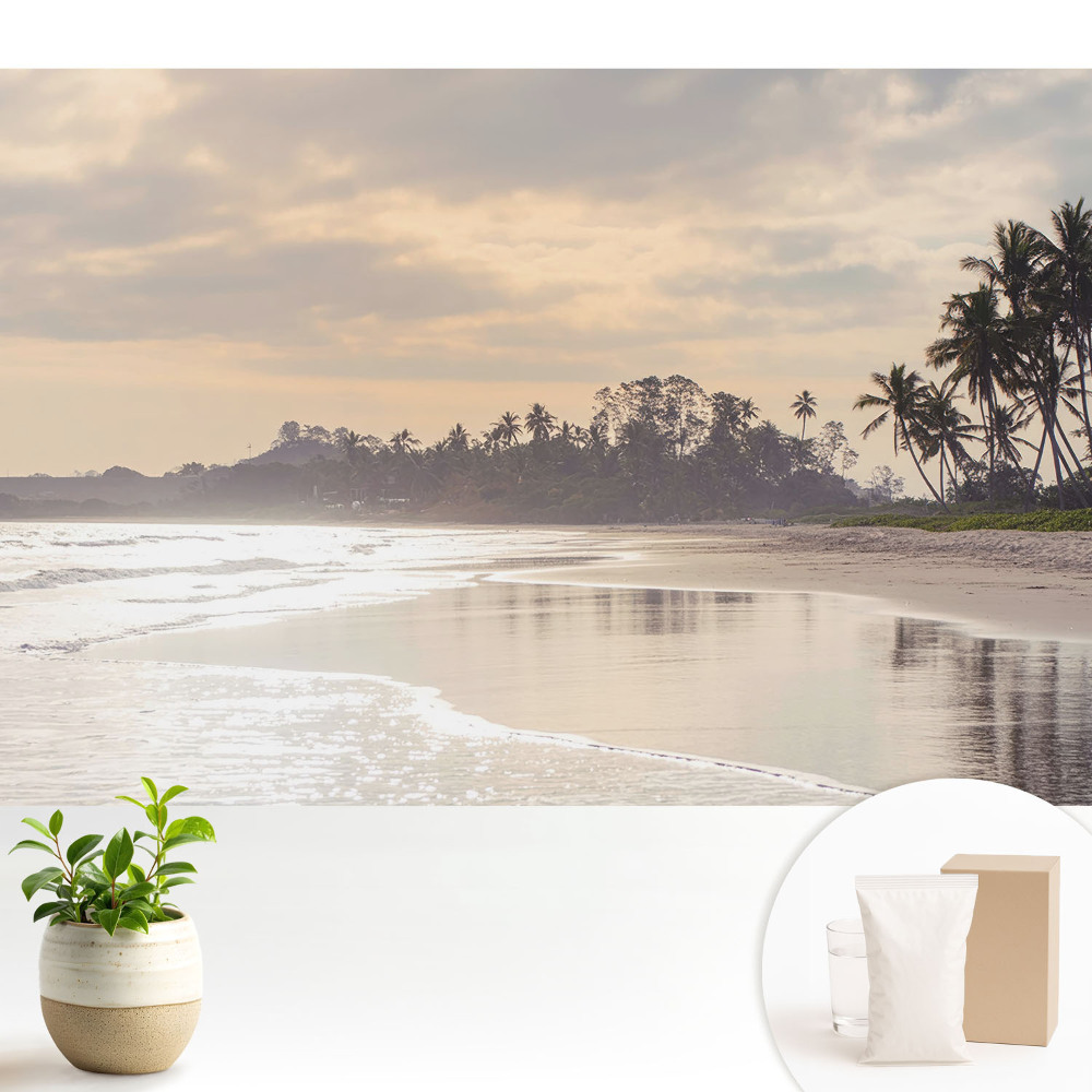 Tapeta na stenu Tichá pláž s palmami