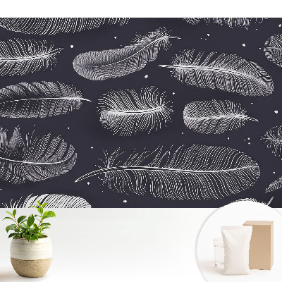 Luxusná tapeta Perie na tmavom pozadí