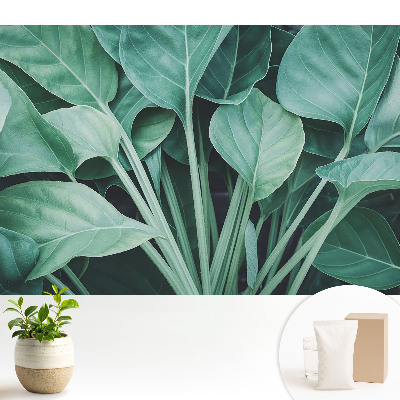 Tapeta Harmónia prírody so zelenými listami