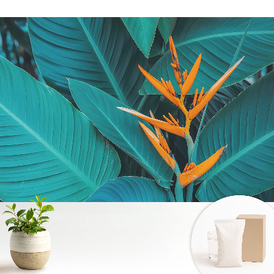 Tapeta Motív exotických rastlín