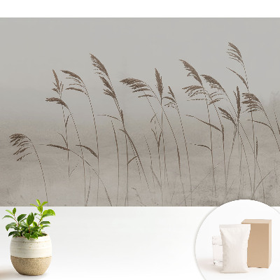 Tapeta Jemné steblá trávy v hmlistej aure