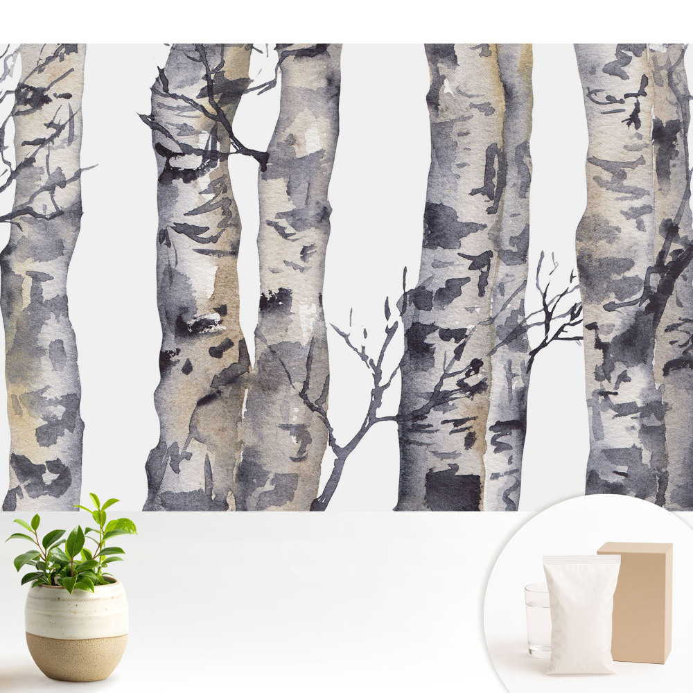 Luxusná tapeta Sivé osikové kmene v akvareloch