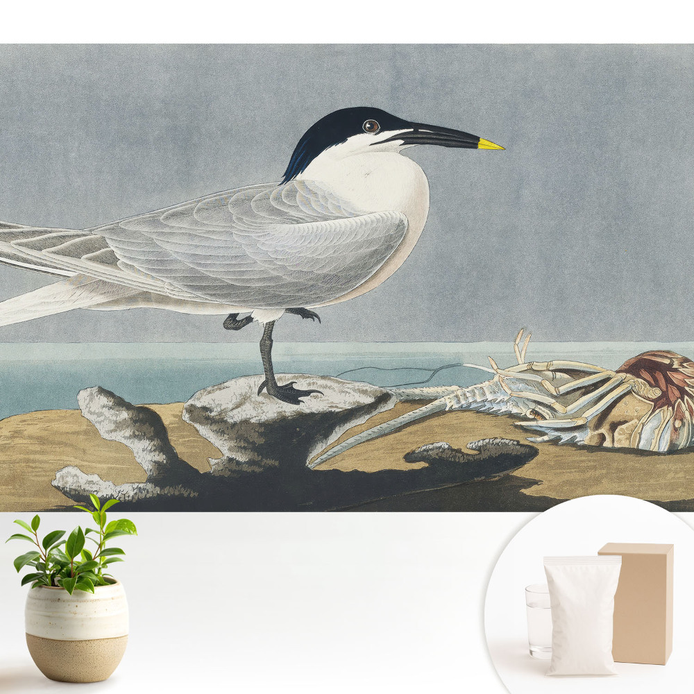 Luxusná tapeta Elegantný vták na pozadí mora