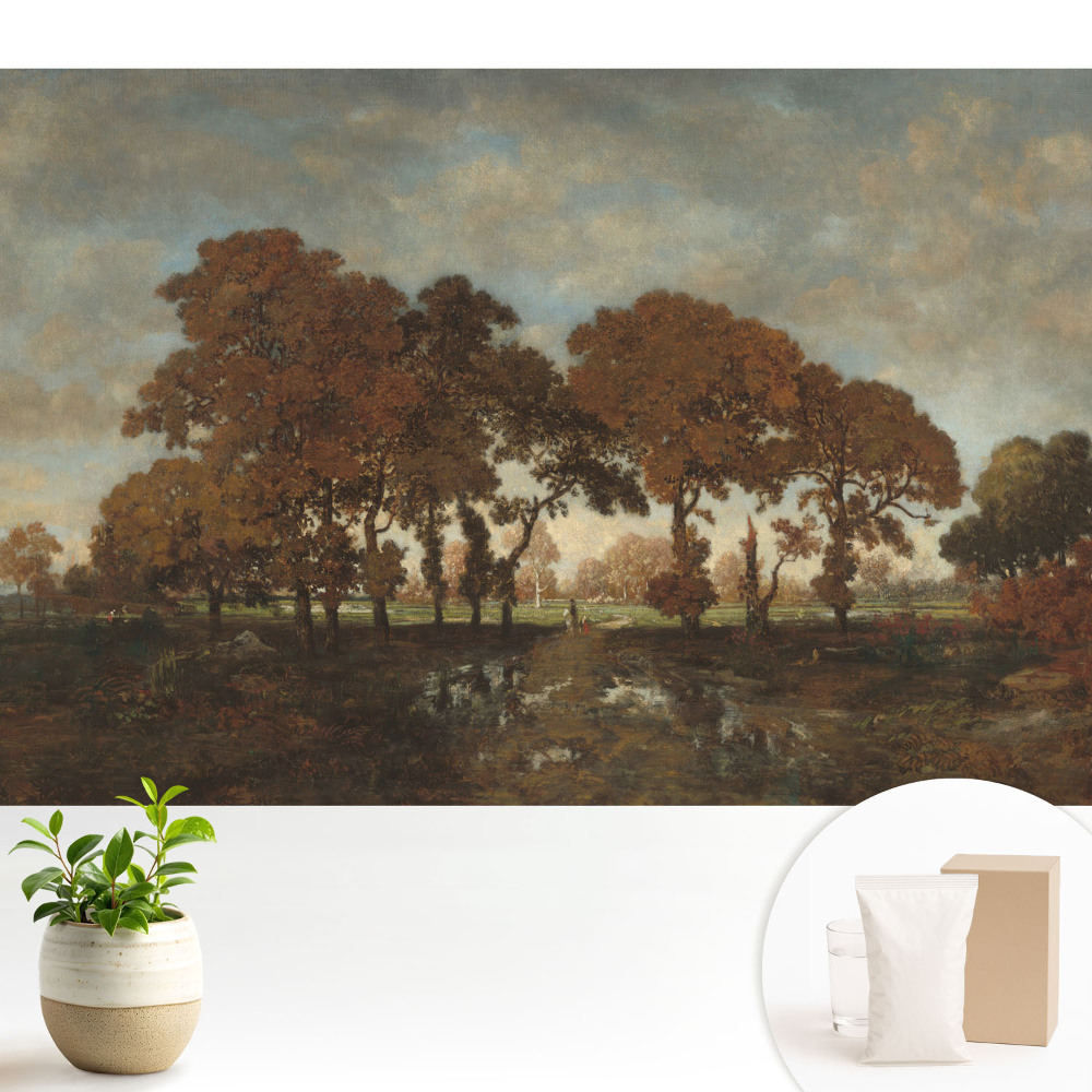 Tapeta do obývačky Jesenné stromy v rustikálnej krajine