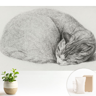 Luxusná tapeta s realistickým motívom spiacej mačky