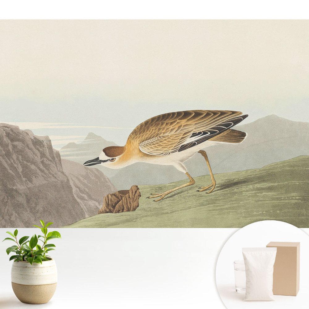 Tapeta na stenu Vták na úbočí hory