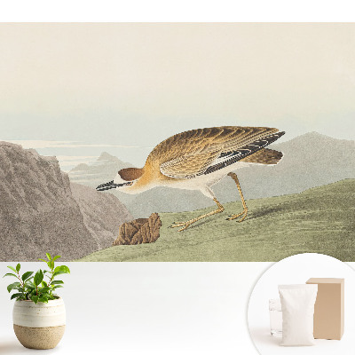 Tapeta na stenu Vták na úbočí hory