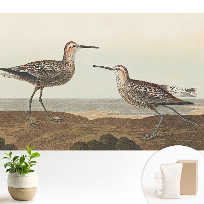 Tapeta s motívom dvoch vtákov na brehu mora