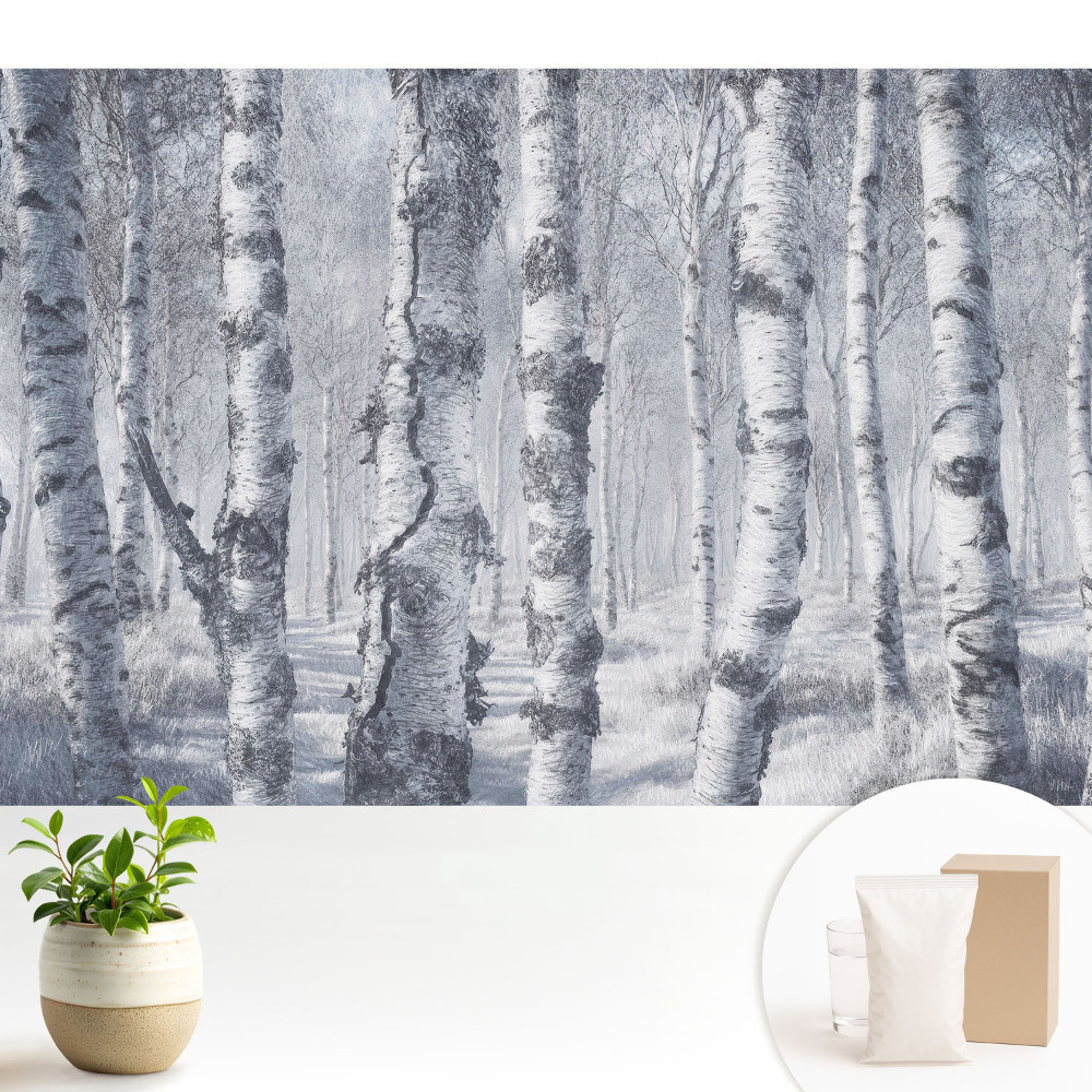 Tapeta do obývačky Zimný brezový les