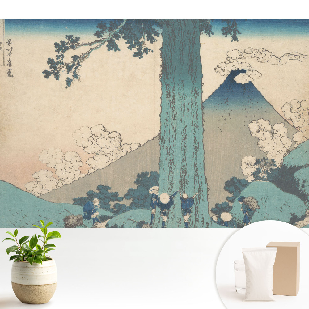 Tapeta s japonskou krajinou vyjadrujúcou estetiku a harmóniu