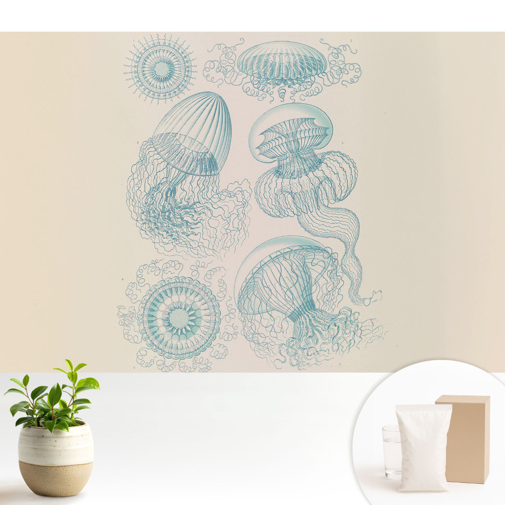 Tapeta Jemné kresby morských medúz
