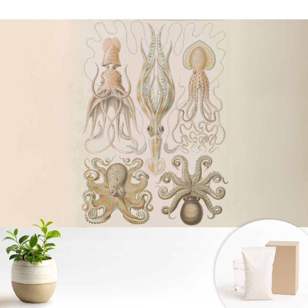 Tapeta na stenu Harmónia detailov morských hlavonožcov