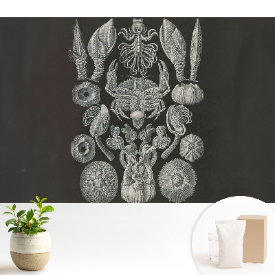 Luxusná tapeta s motívom umeleckého rytia morských organizmov