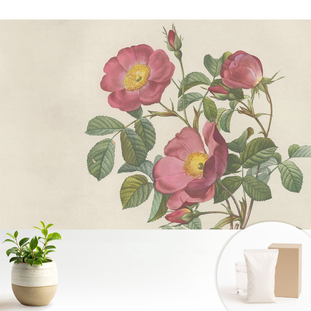 Tapeta do obývačky Divoké ruže v klasickej kompozícii