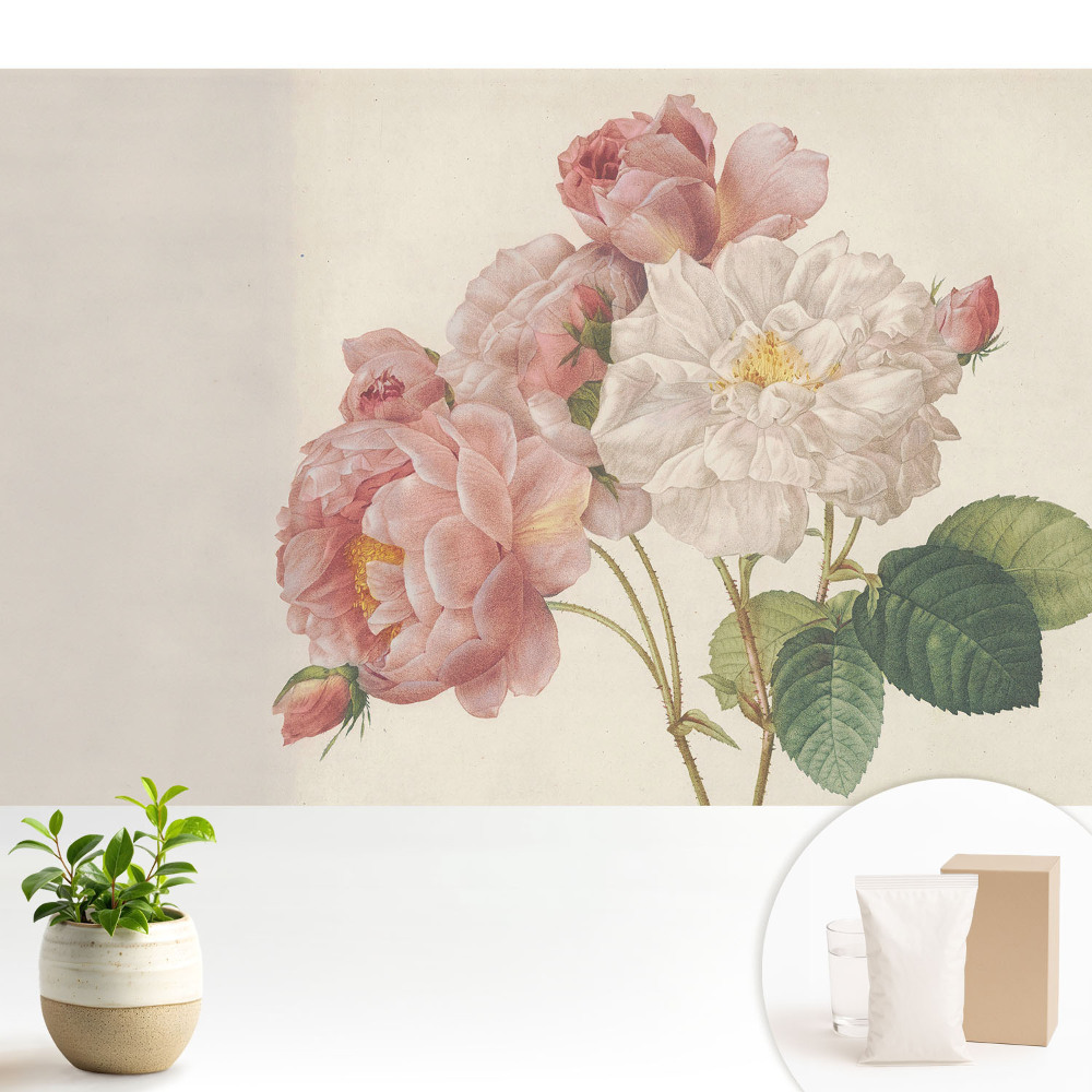 Tapeta na stenu Klasická kytica ruží