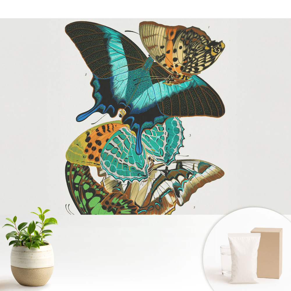 Tapeta Farebné motýle klasická harmonická kompozícia