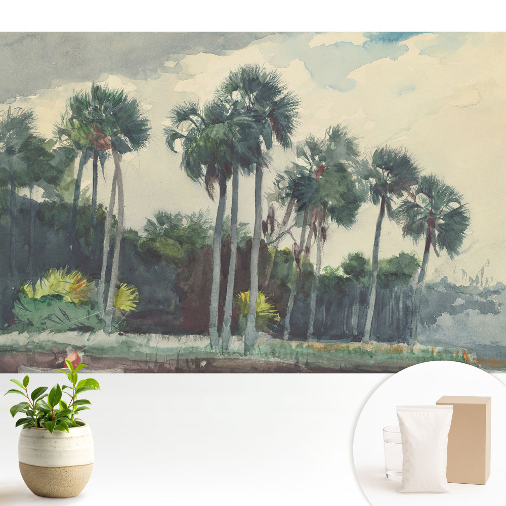 Tapeta Tropické palmy v akvarelovom štýle