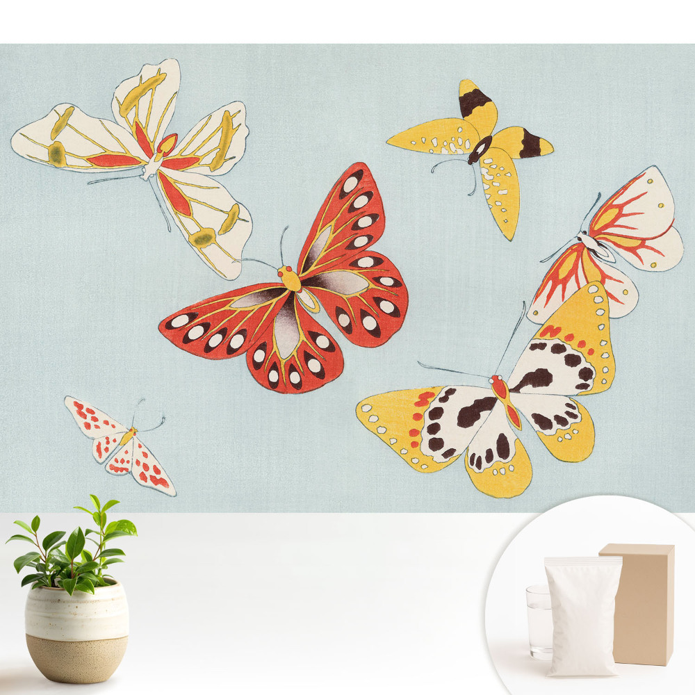 Tapeta Farebné motýle na svetlom pozadí
