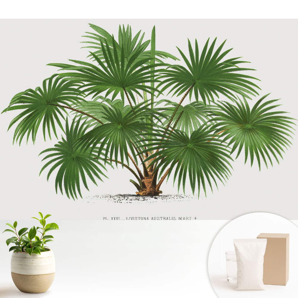 Luxusná tapeta Symetrické zloženie zelenej palmy