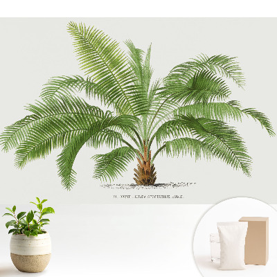 Tapeta s ilustráciou vrúcnej palmy