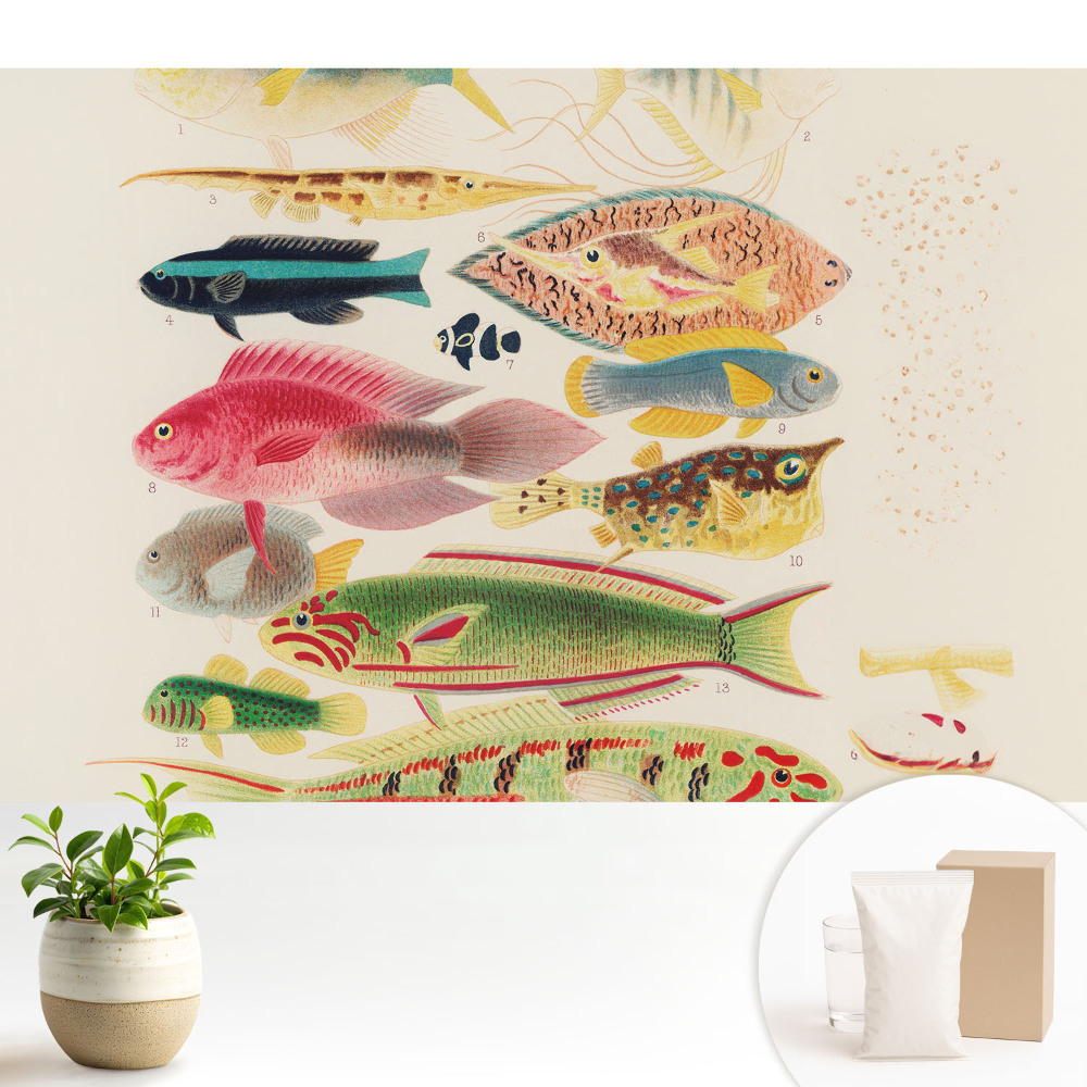 Luxusná tapeta Rôzne druhy rýb v klasickom štýle