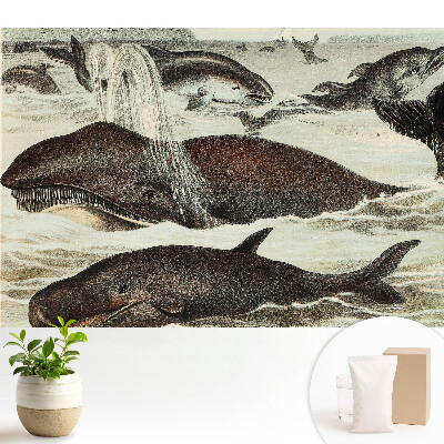Tapeta na stenu s motívom vodných živočíchov