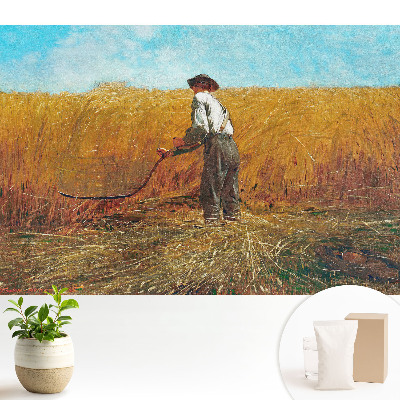 Tapeta Farmár na pšeničnom poli pod modrou oblohou