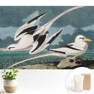 Tapeta do obývačky s klasickým motívom vtákov na brehu