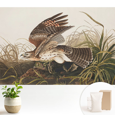 Tapeta na stenu Vták za letu medzi trávou