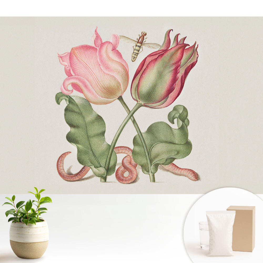 Tapeta na stenu Kvety a hmyz v nostalgickej kompozícii