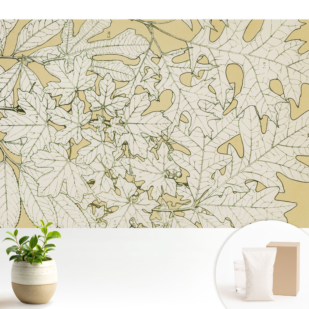 Tapeta Botanická kresba listov stromov