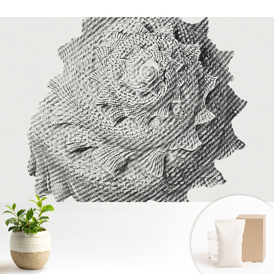 Tapeta na stenu Vizuálna harmónia špirálovej škrupiny