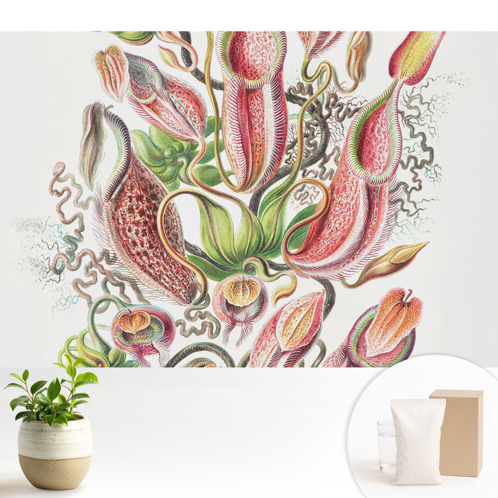 Luxusná tapeta Exotické hmyzožravé rastliny