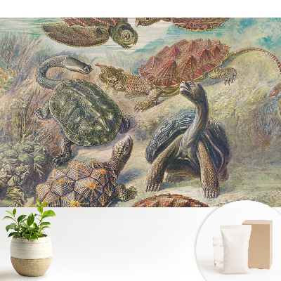 Luxusná tapeta s motívom rôznych korytnačiek vo vodnej scenérii