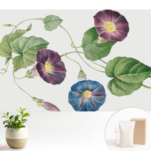 Tapeta na stenu s jemnými botanickými kvetinovými motívmi