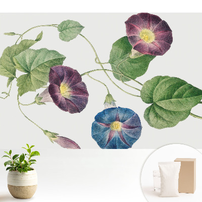 Tapeta na stenu Jemné kvetinové botanické motívy