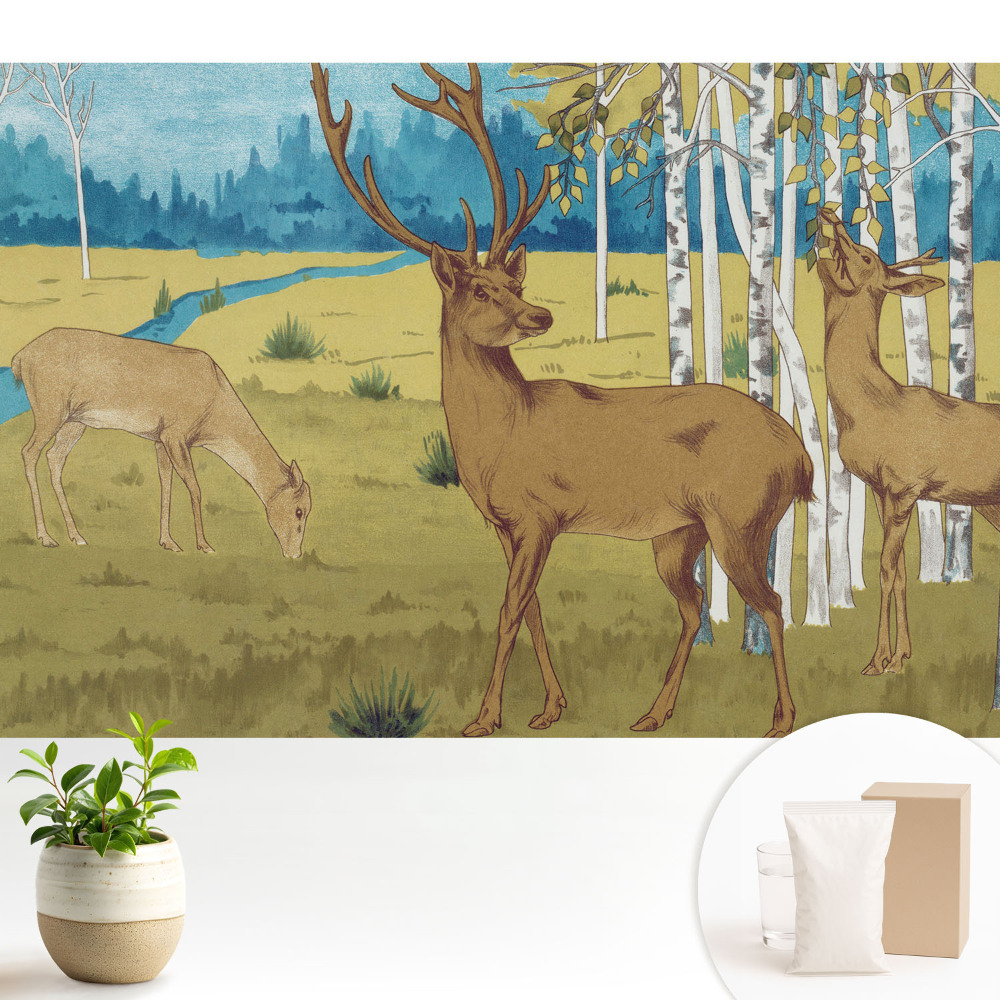 Tapeta na stenu Jeleň v brezovom lese