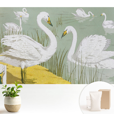 Tapeta do obývačky Labute na jazere Romantická elegancia