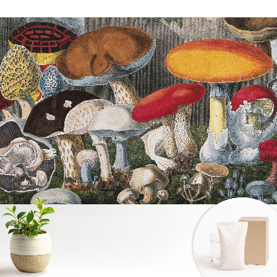 Tapeta do obývačky Botanický štýl odrody húb