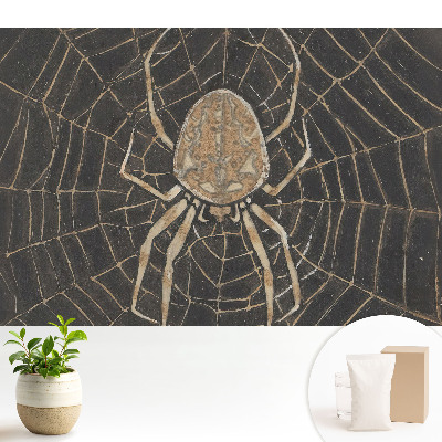 Tapeta na stenu s motívom pavúka v sieti v symetrickom klasickom prevedení