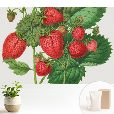 Tapeta do obývačky Jahody na zelenom pozadí