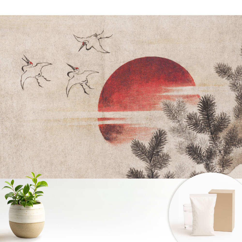 Luxusná tapeta Tri vtáky a slnko na pozadí ihličnatých stromov